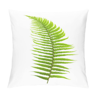 Personality  Fern Branch Pillow Covers