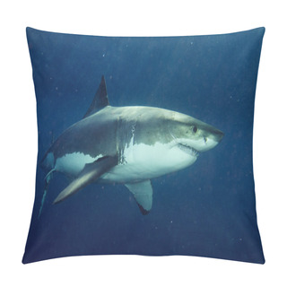 Personality  Great White Shark Ready To Attack Pillow Covers