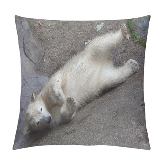 Personality  Polar Bear (Ursus Maritimus). Pillow Covers