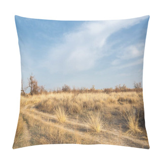 Personality  Sand Spring Steppe Pillow Covers