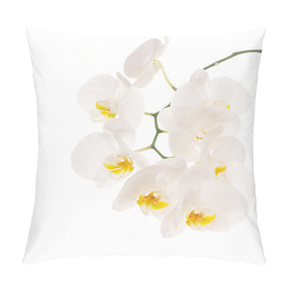 Personality  White Orchid Pillow Covers