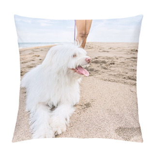 Personality  Young Woman Walking With Dog Pillow Covers
