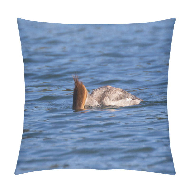 Personality  Female Common Merganser Mergus Merganser Photographed In Blue Lake In Lassen County California With Its Face In The Water Searching For Prey. Pillow Covers