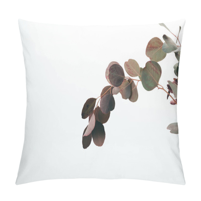 Personality  Decorative Green Eucalyptus Branches Isolated On White Pillow Covers