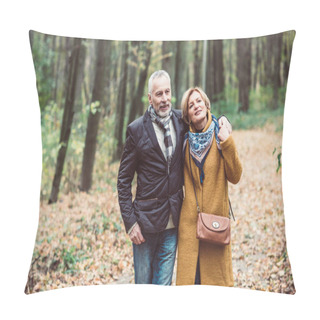 Personality  Mature Couple Walking In Park Pillow Covers