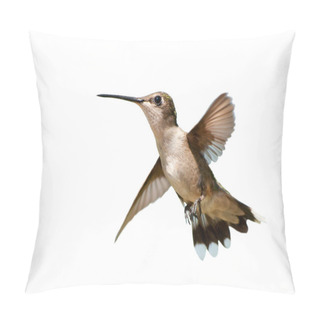 Personality  Ruby-throated Hummingbird In Flight, On White Pillow Covers