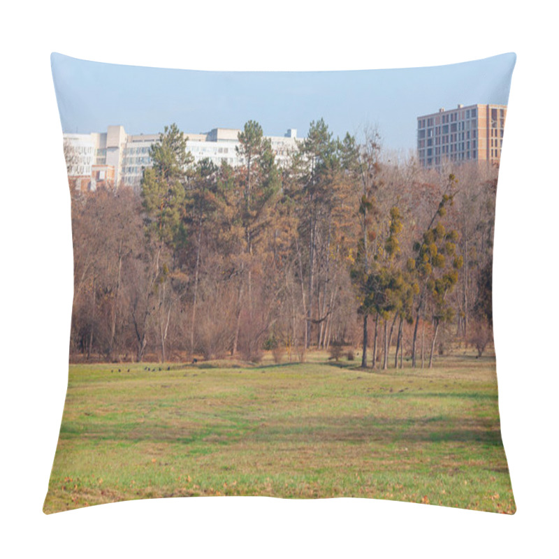Personality  Green lawn and tree branches scene of spring nature in city park pillow covers