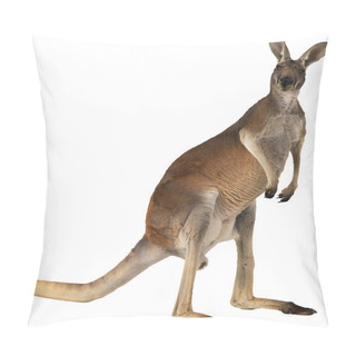 Personality  Kangaroo Pillow Covers