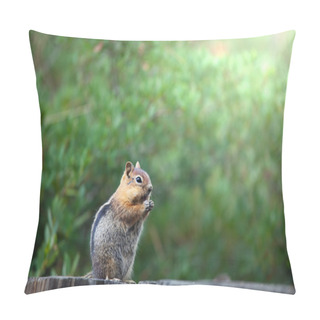 Personality  Chipmunk Pillow Covers