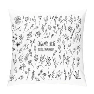 Personality  Vector Organic Herbs. Set With Herbs, Flowers, Ayurvedic Plants, Twigs. Design Of Logos, Fabrics, Dishes, And Clothing. Minimalistic Elements For The Design Of Greeting Cards, Invitations.Organic Herb Pillow Covers