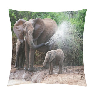 Personality  Elephant Spraying Water Pillow Covers