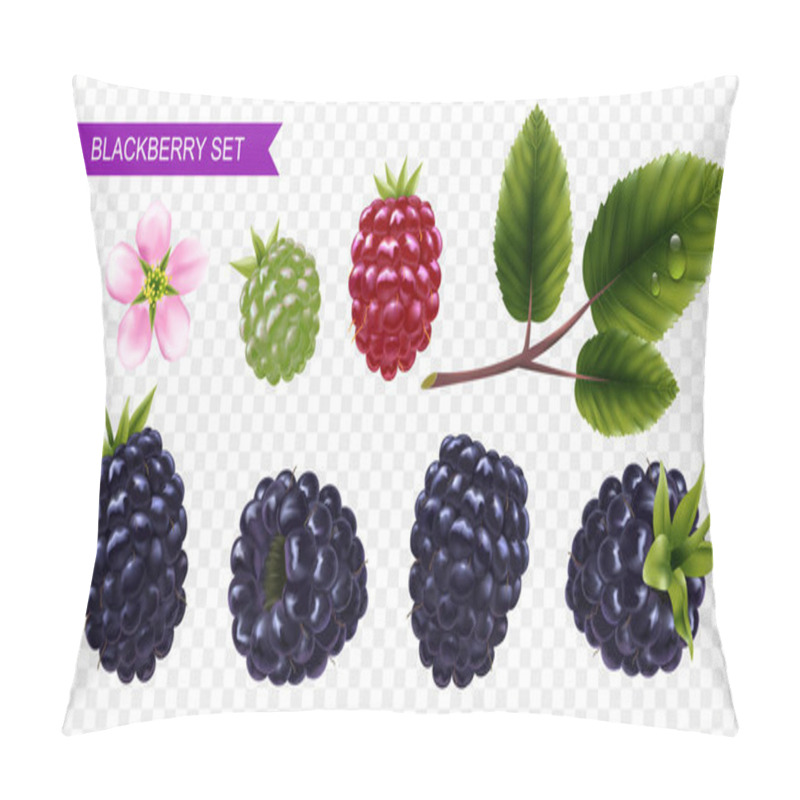 Personality  Blackberry set of ripe and unripe berries flower green leaves on transparent background realistic vector illustration pillow covers