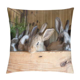 Personality  Rabbits In The Barn Pillow Covers