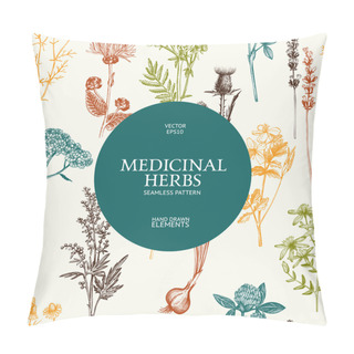 Personality  Background With Medicinal Herbs Sketch Pillow Covers