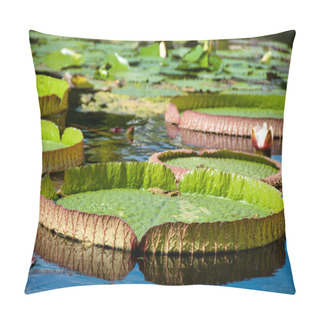 Personality  Victoria Regia - Water Lilies Pillow Covers