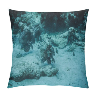 Personality  Underwater View To Two Lionfish Swimming At The Ocean Ground. Pillow Covers
