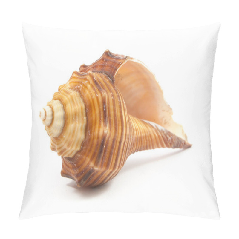 Personality  Seashell Pillow Covers