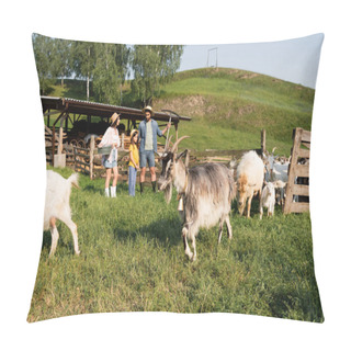 Personality  Flock Of Goats Grazing Near Family Standing At Corral On Cattle Farm Pillow Covers