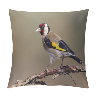 Personality  Colorful Goldfinch, (Carduelis Carduelis), Perching On A Tree. Nice Detail Of The Eye And Feathers. Pillow Covers