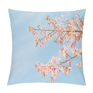Personality Sakura Flowers Or Cherry Blossoms Pillow Covers
