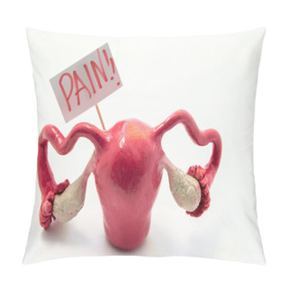 Personality  Illustration Concept Of Pain Symptom Or Syndrome In Pathologies And Diseases Of Female Genitals As PMS, Endometriosis. Anatomical Model Of Uterus Is Next To Poster On Which Written In Red Word Pain Pillow Covers