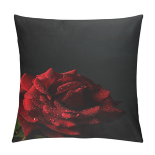 Personality  Red Rose With Dew On A Black Background Pillow Covers