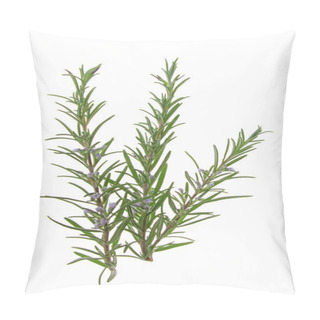 Personality  Rosemary (Rosmarinus Officinalis) Pillow Covers