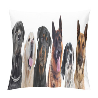 Personality  Dogs Pillow Covers