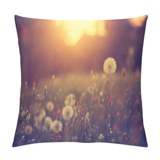 Personality  Vintage Photo Of Dandelion Field In Sunset Pillow Covers