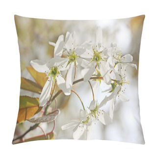 Personality  Blooming Juneberry Branch, Amelanchier Ovalis Pillow Covers