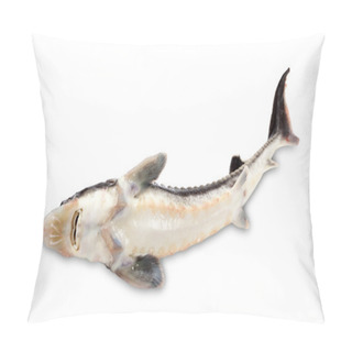 Personality  Dead Sterlet Fish On White Background. Pillow Covers