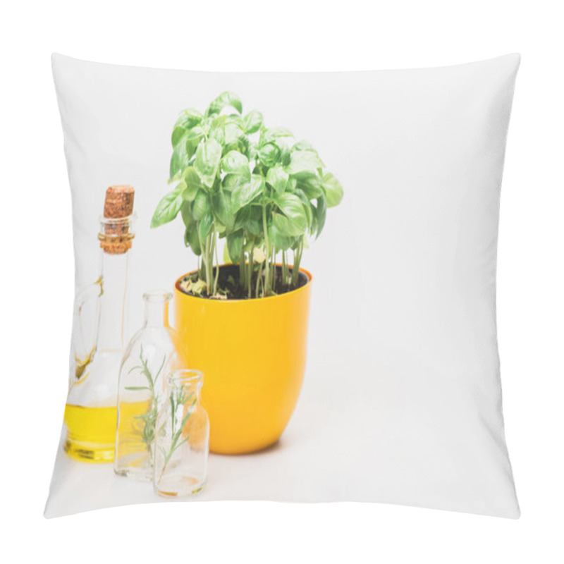 Personality  green plant in flowerpot near herbs in glass bottles and essential oil on white background, naturopathy concept pillow covers