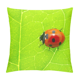 Personality  Ladybug On A Green Leaf Pillow Covers