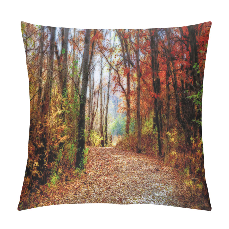 Personality  Enchanted Minnesota Forest Path In Indian Summer Pillow Covers