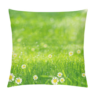Personality  Green Grass And Daisies In The Sunshine Pillow Covers