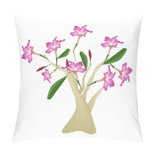 Personality  Desert Rose Or Bignonia On White Background Pillow Covers
