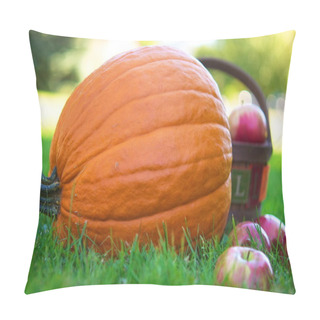 Personality  Pumpkin And Apples On The Farm Field Pillow Covers