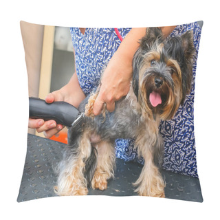 Personality  Haircut Yorkshire Terrier. The Groomers Female Hand Supports The Dogs Belly. Pillow Covers