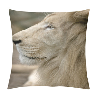 Personality  White Lion Pillow Covers