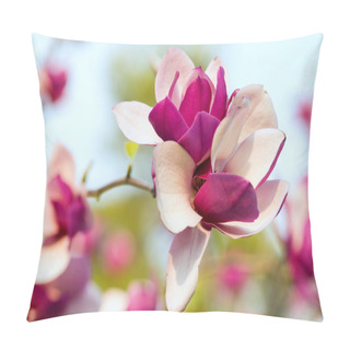 Personality  Blossoming Magnolia Flowers Pillow Covers