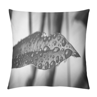 Personality  Rain Drops On Leaf Pillow Covers