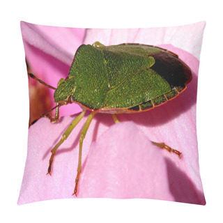 Personality Closeup Of Bug At Wild Nature Pillow Covers