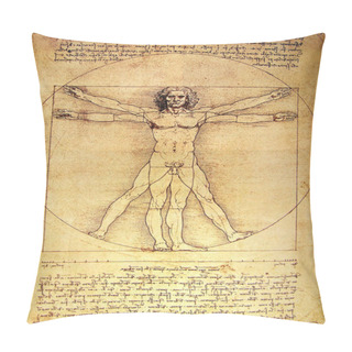 Personality  Photo Of The Vitruvian Man By Leonardo Da Vinci Pillow Covers