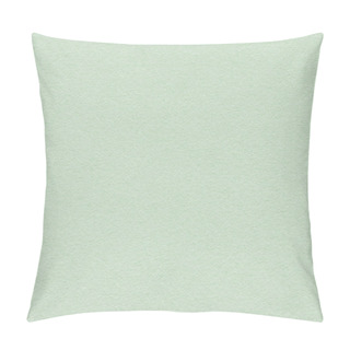 Personality  Recycle Pale Kelly Green Pastel Paper Coarse Grain Grunge Texture Sample Pillow Covers