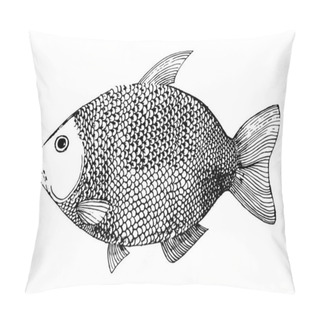 Personality River Fish With A Lot Of Scales. Karas With Fins. Coloring For Kids. River Fishing. Pillow Covers