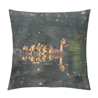 Personality  Mallard Duck With Her Ducklings  Pillow Covers
