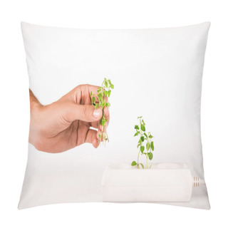 Personality  Cropped View Of Man Holding Green Plant Near Socket In Power Extender On White Background Pillow Covers