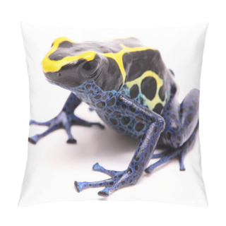 Personality  Blue Yellow Dyeing Dart Frog Pillow Covers