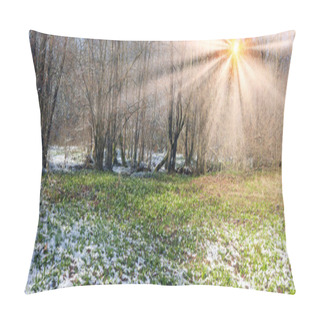 Personality  Alpine Snow Flowers Pillow Covers