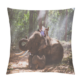 Personality School Boy Playing In The Jungle With His Friend Elephant Pillow Covers